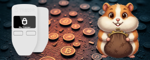 Trezor Model One Review