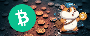 Bitcoin Cash review art