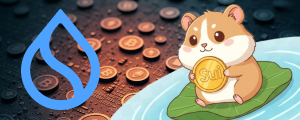 Sui Review