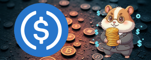 USDC Review